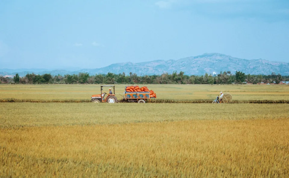 Kho gạo của Trần Thị Nhung